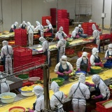 Khoa học nông nghiệp: Từ phòng thí nghiệm đến cánh đồng