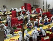 Khoa học nông nghiệp: Từ phòng thí nghiệm đến cánh đồng