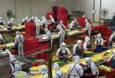 Khoa học nông nghiệp: Từ phòng thí nghiệm đến cánh đồng