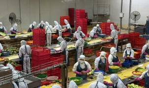 Khoa học nông nghiệp: Từ phòng thí nghiệm đến cánh đồng