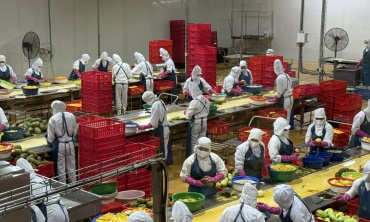 Khoa học nông nghiệp: Từ phòng thí nghiệm đến cánh đồng