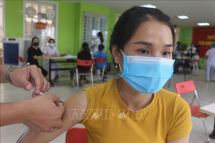 Quảng Ninh:  Nỗ lực hoàn thành phần mềm tiêm chủng vaccine