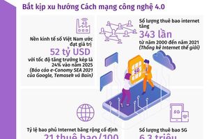 Nền kinh tế số sẽ chiếm 20% GDP Việt Nam vào năm 2025