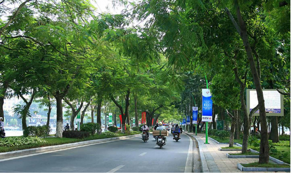 Hà Nội đặt mục tiêu trồng mới 250.000 cây bóng mát trên các tuyến đường giao thông