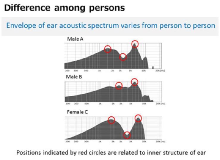 Tai của mỗi người có quang phổ âm thanh khác nhau