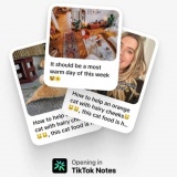 TikTok sắp ra mắt ứng dụng chia sẻ ảnh