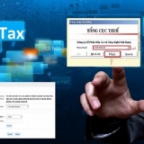 Hà Nội: Cảnh báo một số hình thức mạo danh cơ quan thuế để lừa đảo