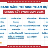 Lộ diện 24 gương mặt tham dự chung kết VNOI CUP 2024
