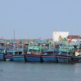 Bình Định sẽ thu hồi giấy phép tàu cá không lắp thiết bị giám sát hành trình