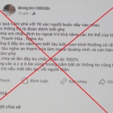 Hàng tỷ tấn CO2 có thể được hấp thụ nhờ khôi phục công nghệ bổ sung sắt cho đại dương