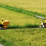 Bưu chính Việt Nam được xếp hạng nhóm phát triển tiến tới hoàn hảo