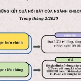 Những kết quả nổi bật của ngành KH&CN trong tháng 2/2025