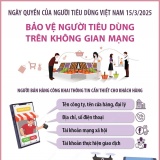 Bảo vệ người tiêu dùng trên không gian mạng