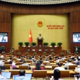 Việt Nam có cần quy định về sở hữu trí tuệ đối với AI?