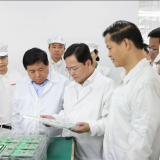 Phó Thủ tướng Nguyễn Chí Dũng thăm, làm việc với doanh nghiệp tại Bắc Ninh
