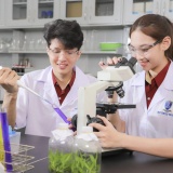 Cập nhật chương trình đào tạo: Đưa sinh viên vào 'cuộc đua' công nghệ