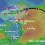 Bộ KH&CN chỉ đạo bảo đảm thông tin liên lạc thông suốt ứng phó bão WIPHA