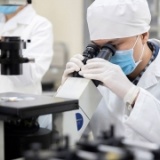 Nhiều đề xuất thu hút nhà khoa học người Việt ở nước ngoài về làm việc trong nước