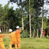 Ngành điện miền Trung triển khai ứng phó khẩn cấp với bão số 5