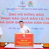 EVNNPT quyên góp ủng hộ đồng bào khắc phục hậu quả bão lũ, thiên tai