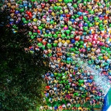 VPBank Hanoi International Marathon 2025: Giải chạy biểu tượng lan tỏa tinh thần sống khỏe, sống thịnh vượng