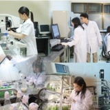 Nghị định 263/2025/NĐ-CP: Bước ngoặt trao quyền tự chủ toàn diện cho các tổ chức khoa học và công nghệ công lập