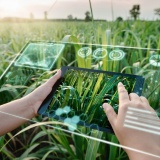 Khát vọng “kỳ lân” Việt Nam – Từ khởi nghiệp đến gọi vốn quốc tế