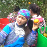 Nhận diện rào cản để người dân vùng cao tiếp cận chuyển đổi số