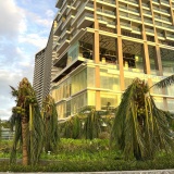 Hỗ trợ khẩn cấp 80 tỷ cho các tỉnh Quảng Ngãi, Gia Lai và Đắk Lắk khắc phục hậu quả bão số 13