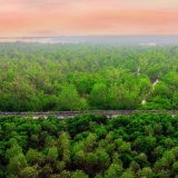 Hải Phòng xây dựng quy định sử dụng quỹ tín dụng carbon, hỗ trợ phát triển xanh