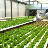 Bình Phước xây dựng nông thôn thông minh