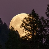 Châu Âu và tham vọng 