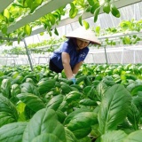 Hà Nội tăng tốc chuyển đổi số: Hoàn thiện cơ chế đánh giá, mở rộng động lực từ thực tiễn