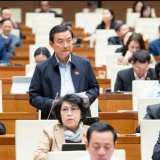 Đại biểu Quốc hội đề xuất cấm tuyệt đối thuốc lá điện tử, thuốc lá nung nóng và khí N2O