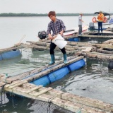 Quảng Ninh: Khoa học công nghệ tạo đột phá trong sản xuất xanh và giảm nghèo bền vững