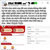 VNeTraffic hiển thị xe 