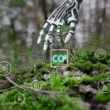 Trí tuệ nhân tạo: Giải pháp mới cho khí hậu toàn cầu