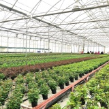 Chuyển đổi số - Động lực mới cho hành trình xoá đói giảm nghèo