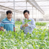 ‏Vai trò của khoa học và công nghệ trong giám sát và phản biện xã hội về xây dựng nông thôn mới‏