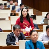 Đại biểu Quốc hội đề nghị tấn công mạnh tội phạm công nghệ cao, hàng giả, thực phẩm bẩn