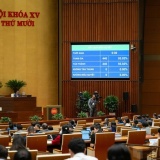 Hiện đại hóa công tác thống kê, phù hợp với yêu cầu chuyển đổi số và tổ chức lại bộ máy