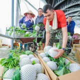 Xã Trường Tân bứt phá với nông nghiệp công nghệ cao