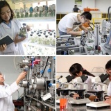 Phê duyệt Chiến lược quốc gia về phát triển đội ngũ trí thức đến năm 2030, tầm nhìn đến năm 2045