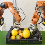 Doanh nghiệp robot và tự động hóa Anh 