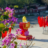 Rực rỡ cờ, hoa chào mừng Đại hội XIV của Đảng