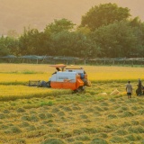 Đồng bằng sông Cửu Long đối diện thực tế đất nông nghiệp giảm và sinh kế thay đổi