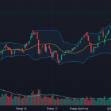 Dòng tiền bắt đáy chọn lọc