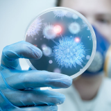 Bộ Y tế khuyến cáo người dân hạn chế đến khu vực có dịch bệnh do virus Nipah