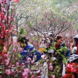 Thủ tướng yêu cầu đôn đốc doanh nghiệp chi trả đầy đủ lương, thưởng Tết cho người lao động