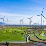 Gia Lai mời gọi đầu tư 12 dự án điện năng lượng tái tạo, tổng vốn hơn 21.000 tỷ đồng